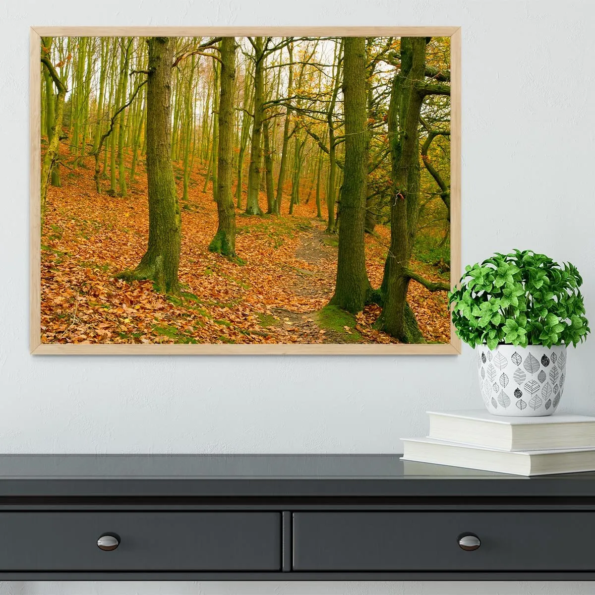 A path through the woods at Haw park Framed Print