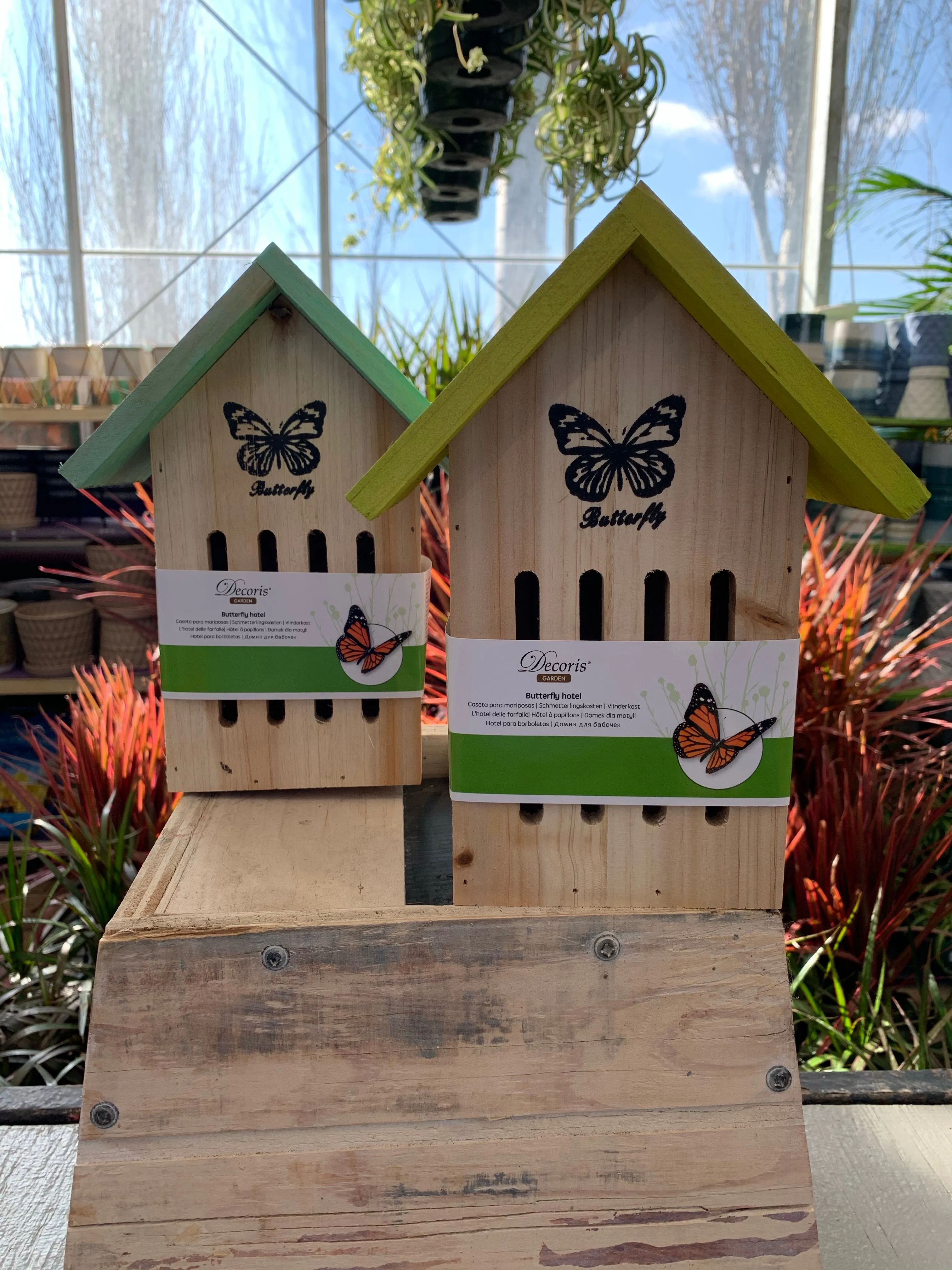 Butterfly hotel
