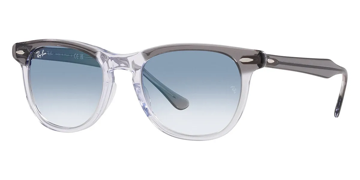 Ray-Ban® EagleEye RB2398